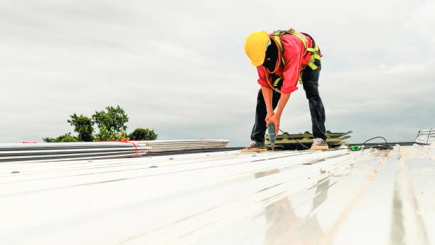 Best Sheet Metal Roofing  in Langhorne, PA